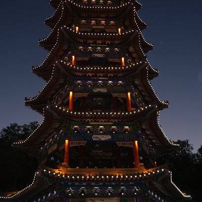 黑白模特
