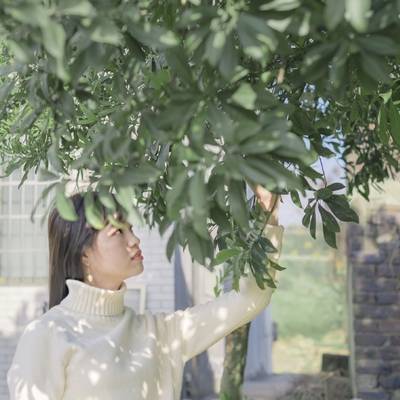 森系模特