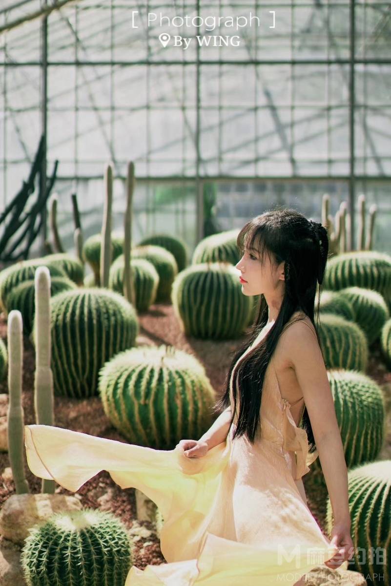 韩系模特