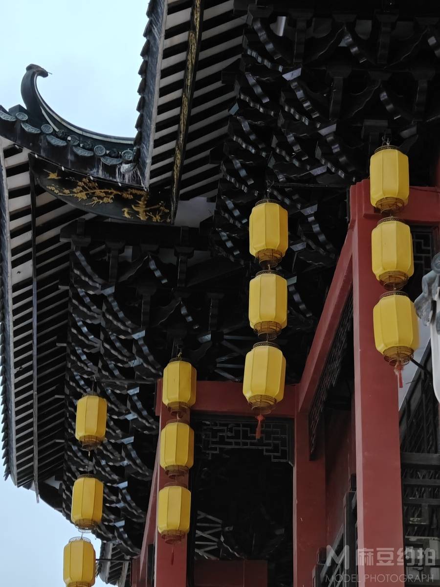 宝丽来模特