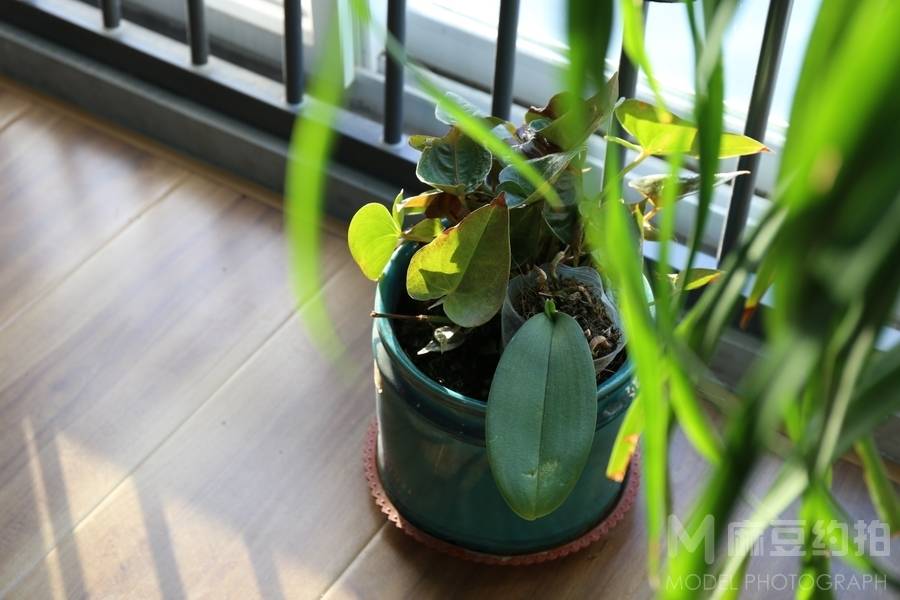 纪实模特