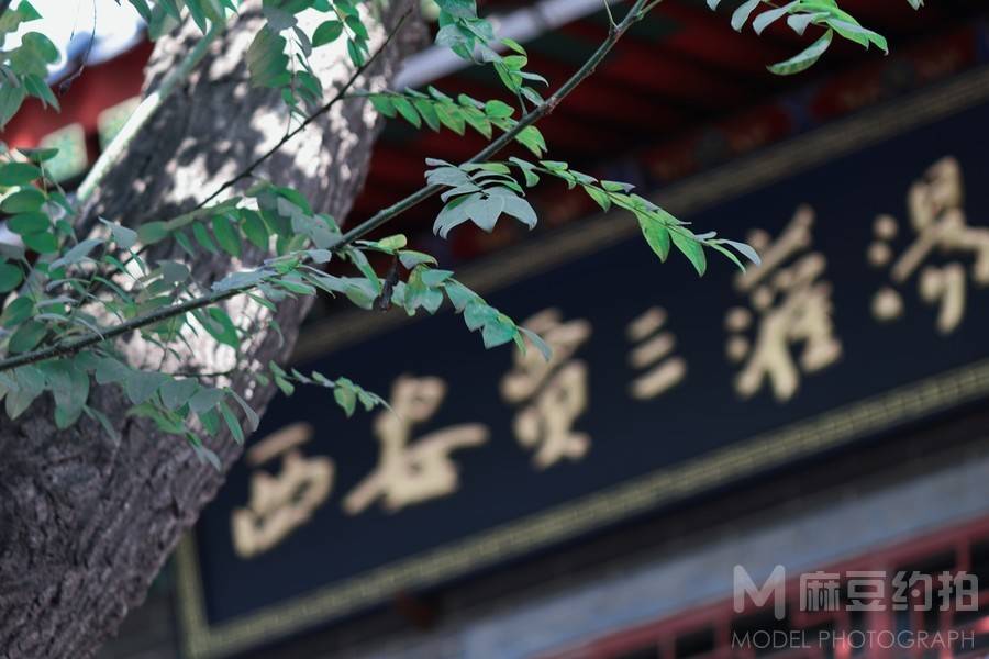 复古模特
