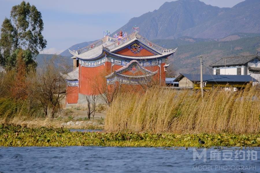 胶片模特