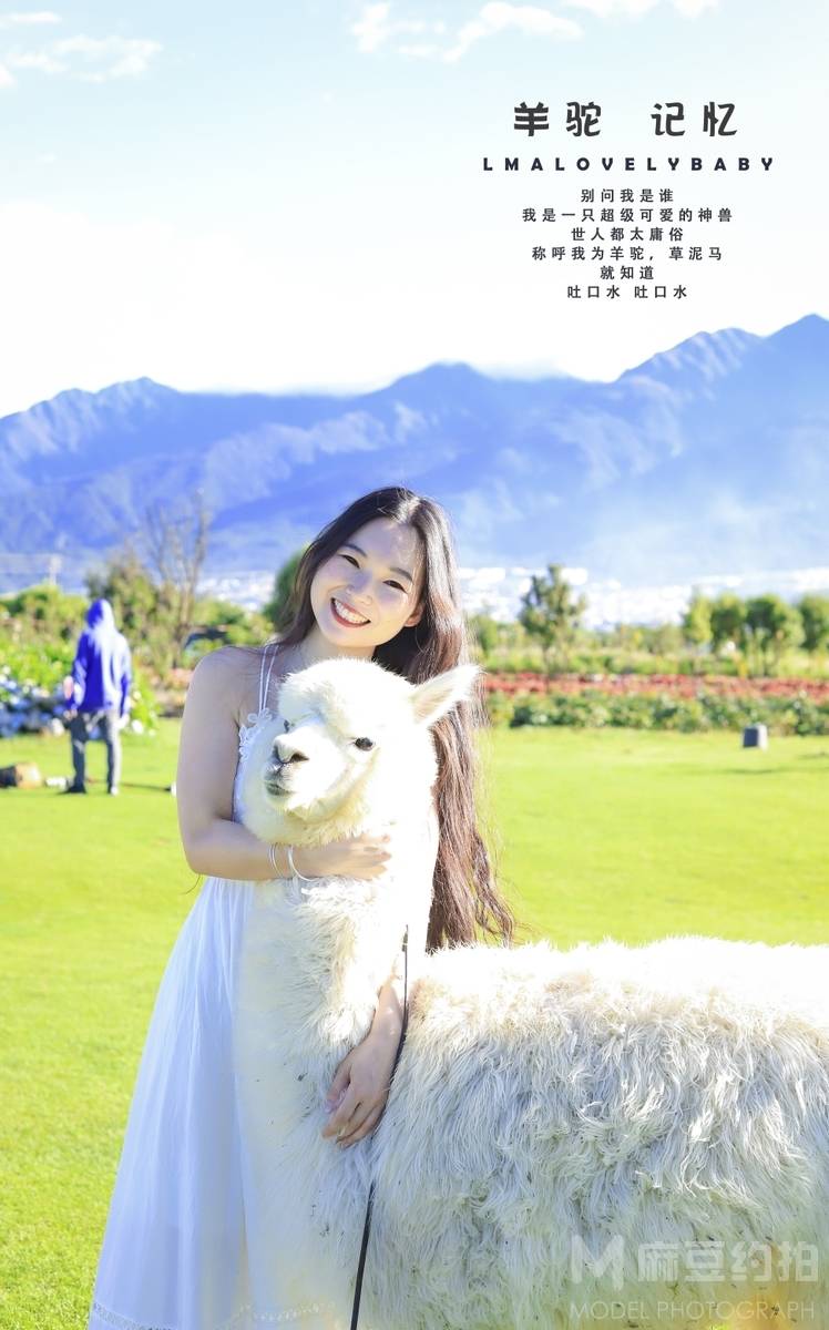清新模特