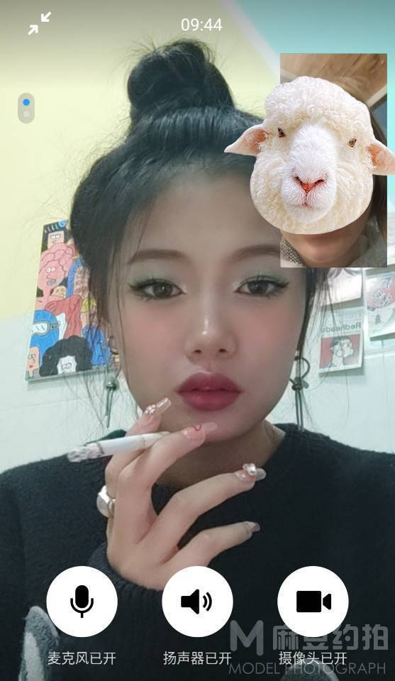 胶片模特