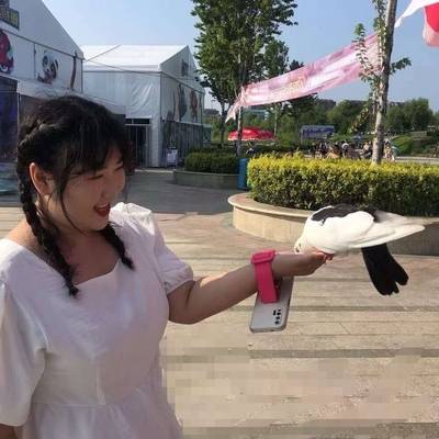 黑白模特