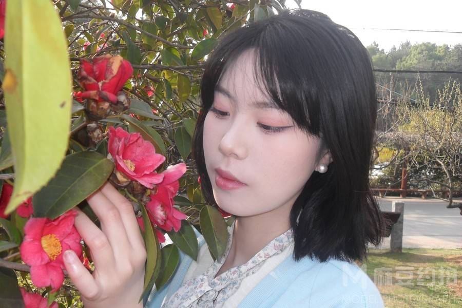 清新模特