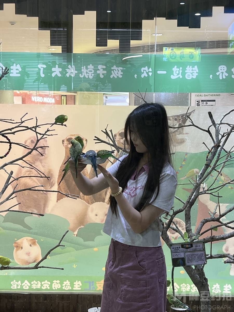 清新模特