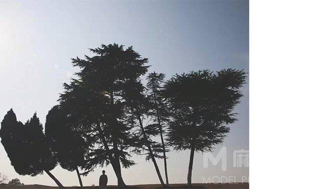 纪实模特