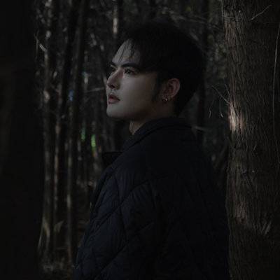 纪实模特