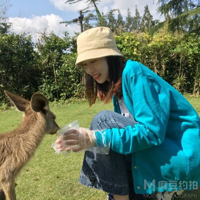 清新模特