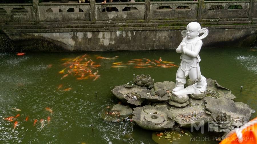 纪实模特