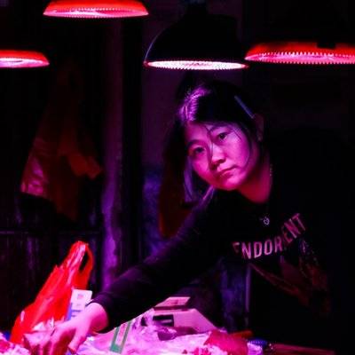 胶片模特
