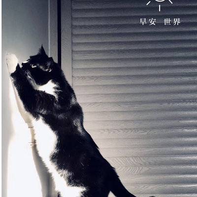 黑白模特