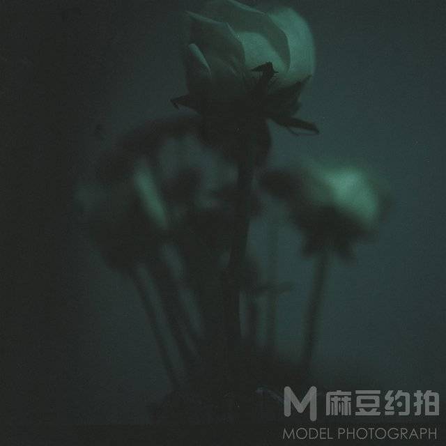 胶片模特