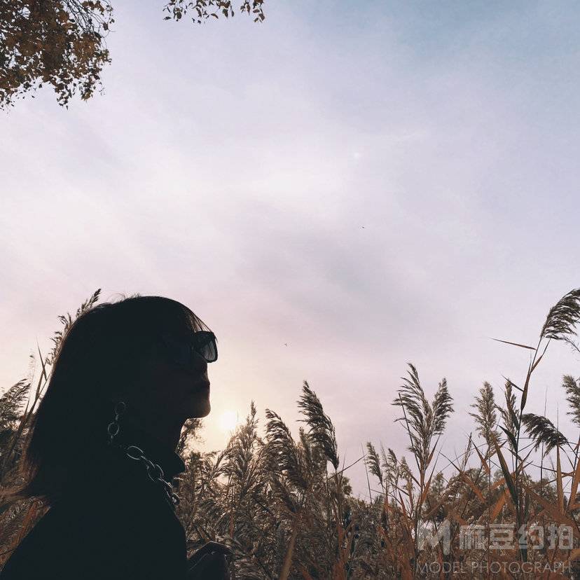 胶片模特