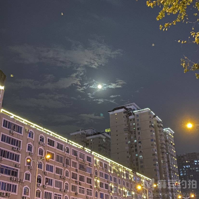 纪实模特