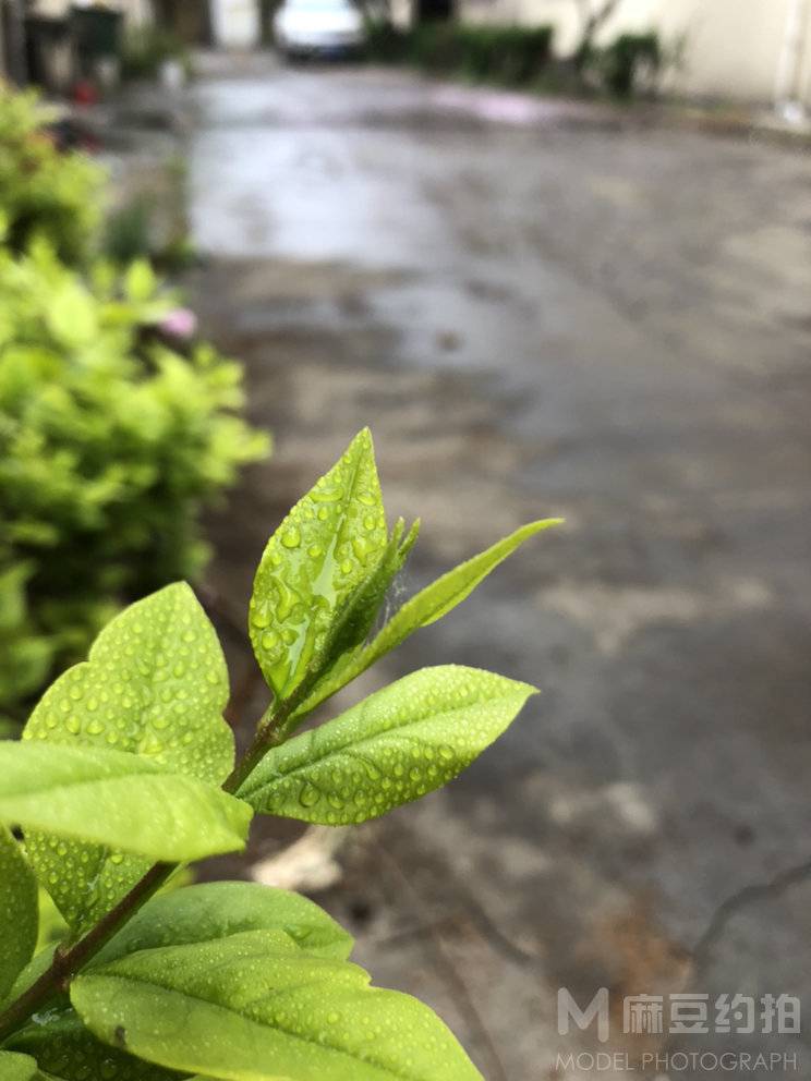 纪实模特