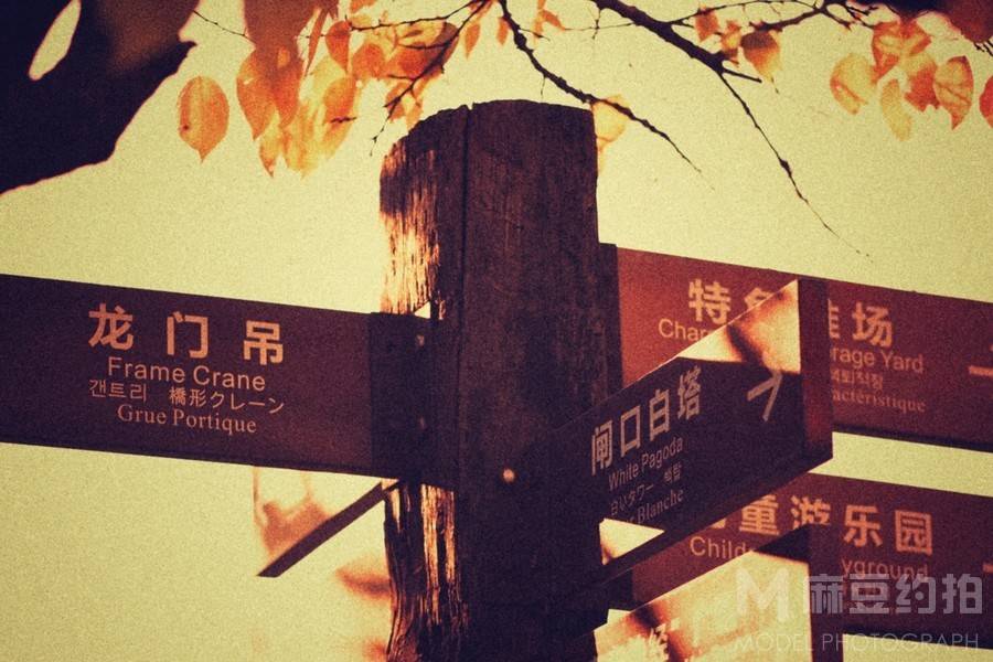复古模特