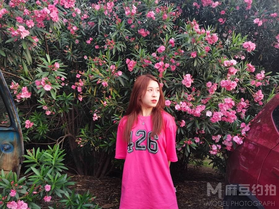 清新模特