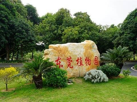 东莞植物园