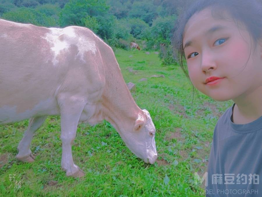 韩系模特