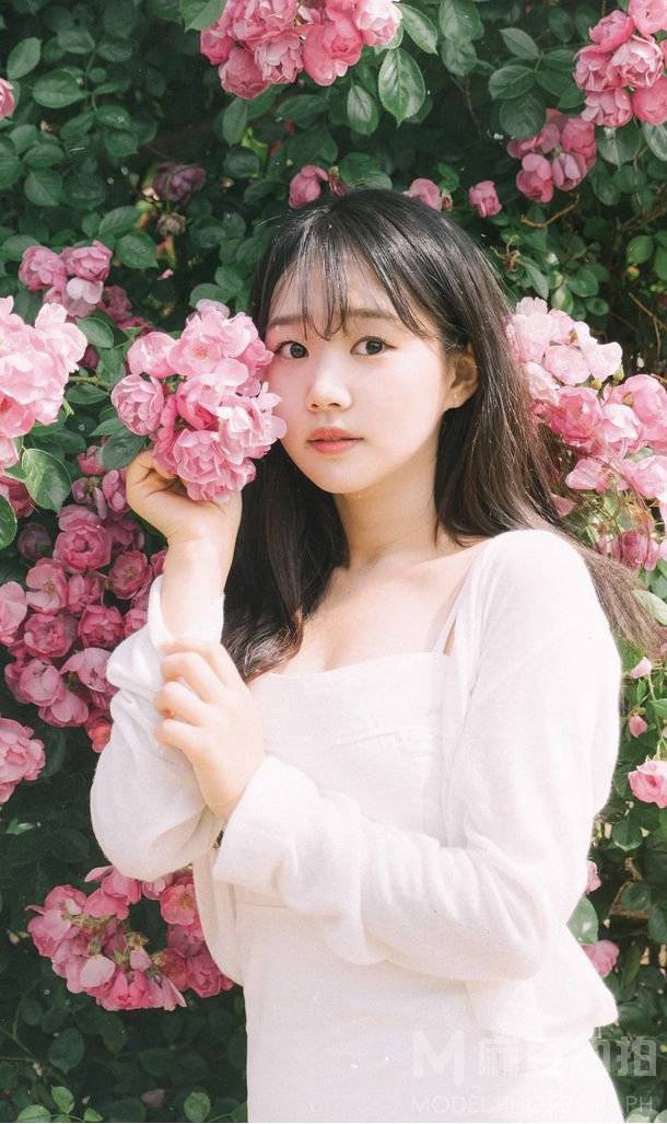清新模特