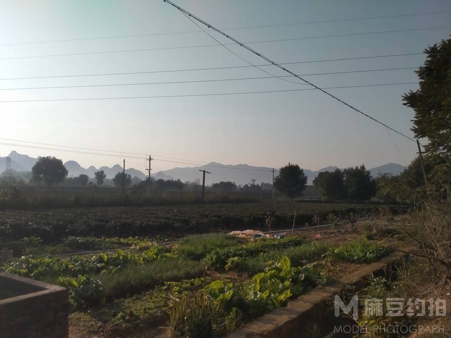 民国模特