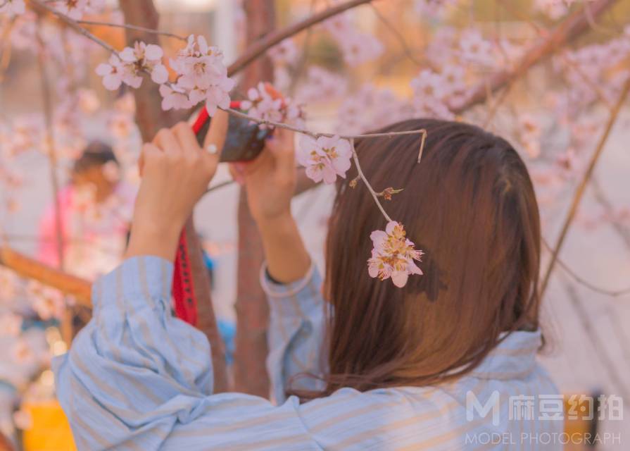 校园模特