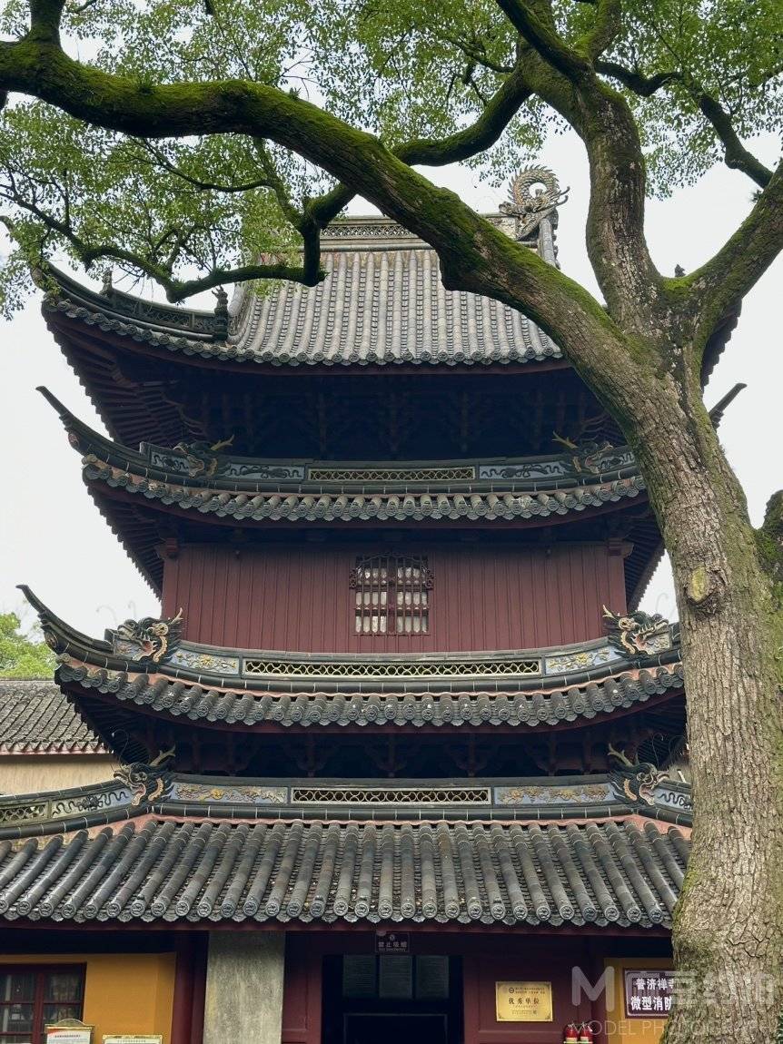 纪实模特