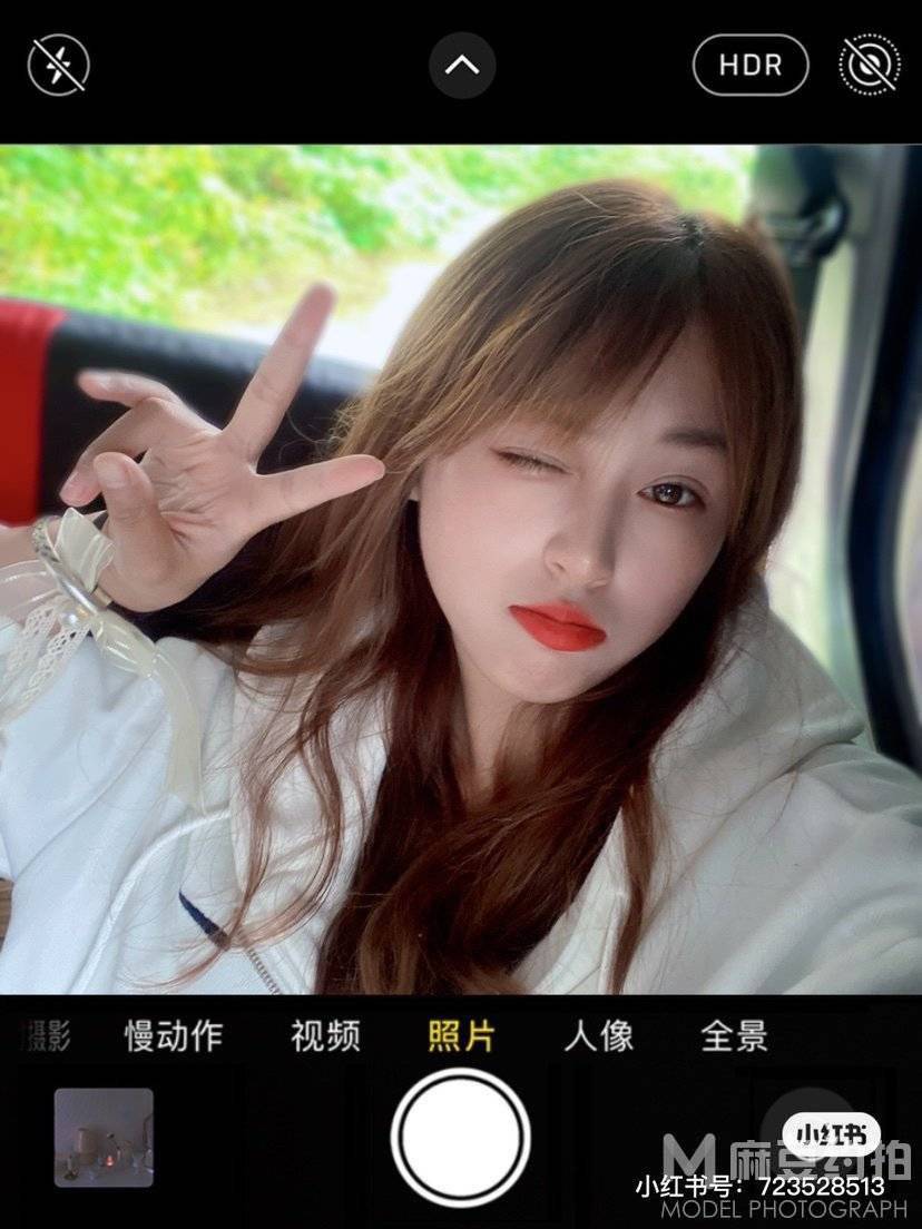 清新模特