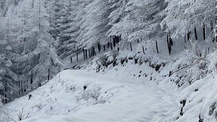 恩施利川齐岳山