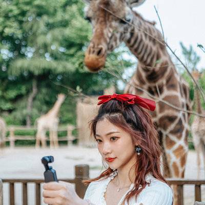 纪实模特