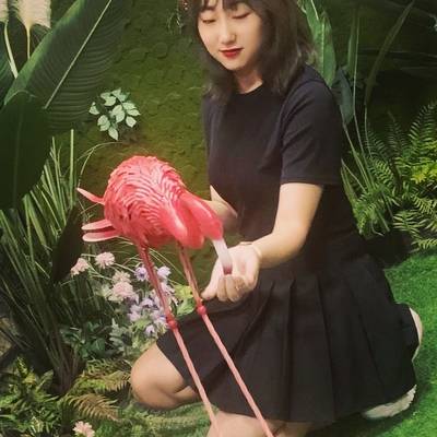 韩系模特