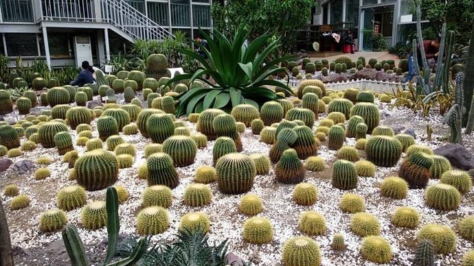 成都植物园
