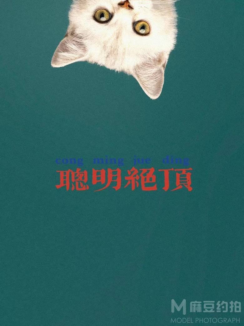 复古模特