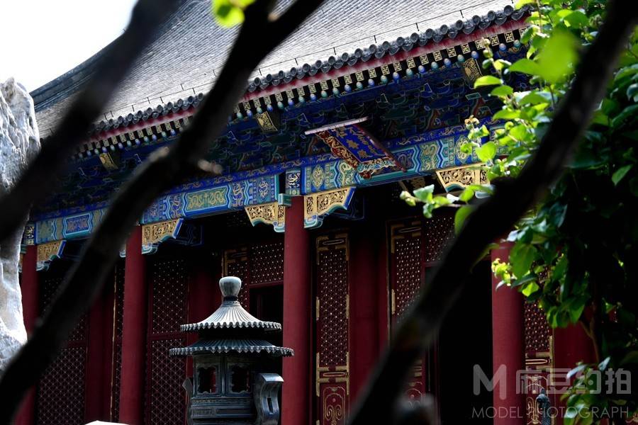 纪实模特