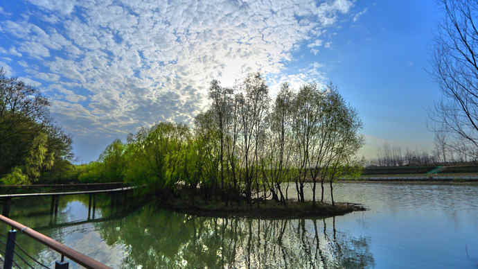 柳树湾风景区