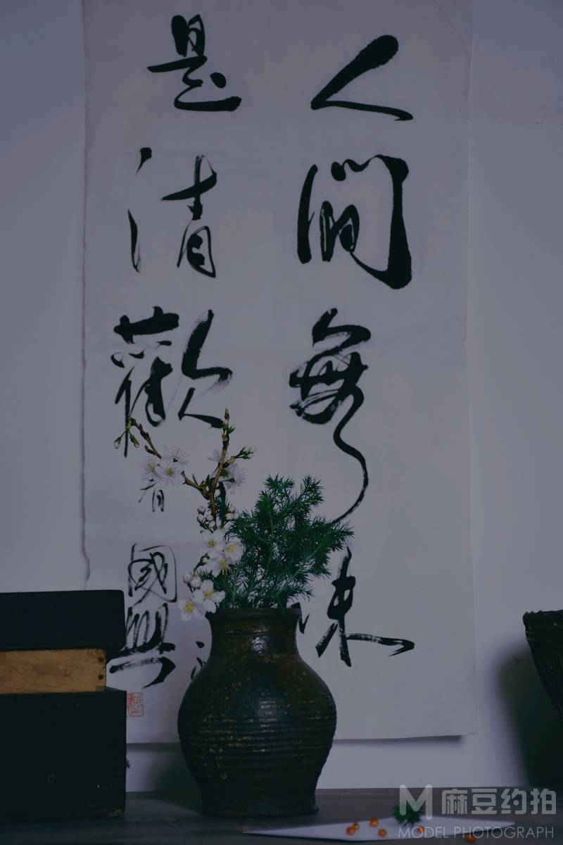 纪实模特