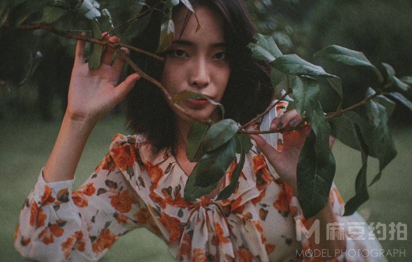 胶片模特