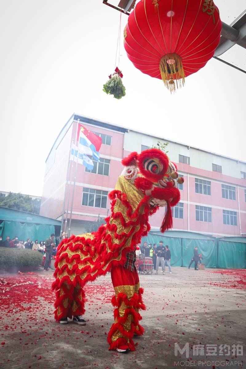 纪实模特