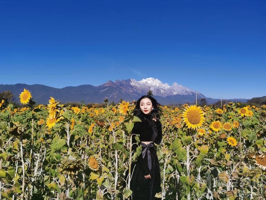 胶片模特