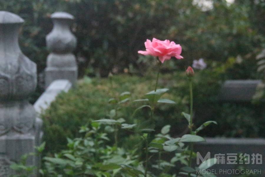 纪实模特