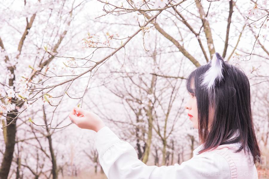 清新模特