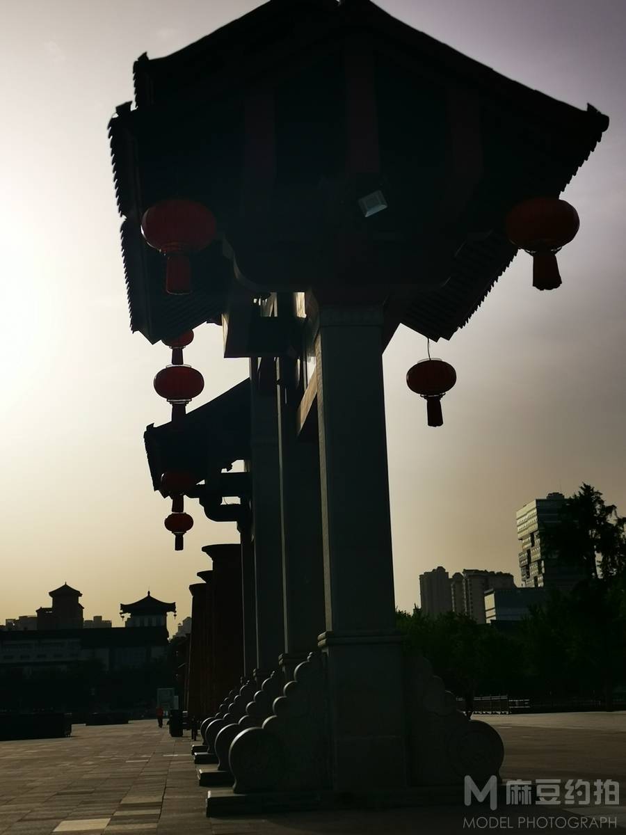 宝丽来模特