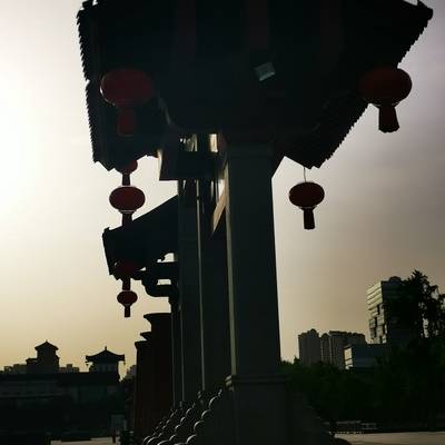 宝丽来模特
