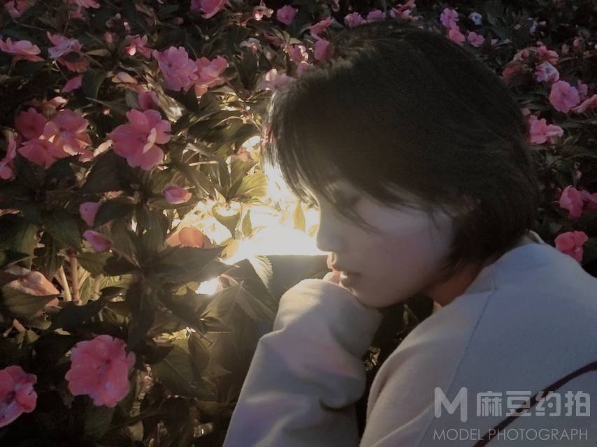 商务模特