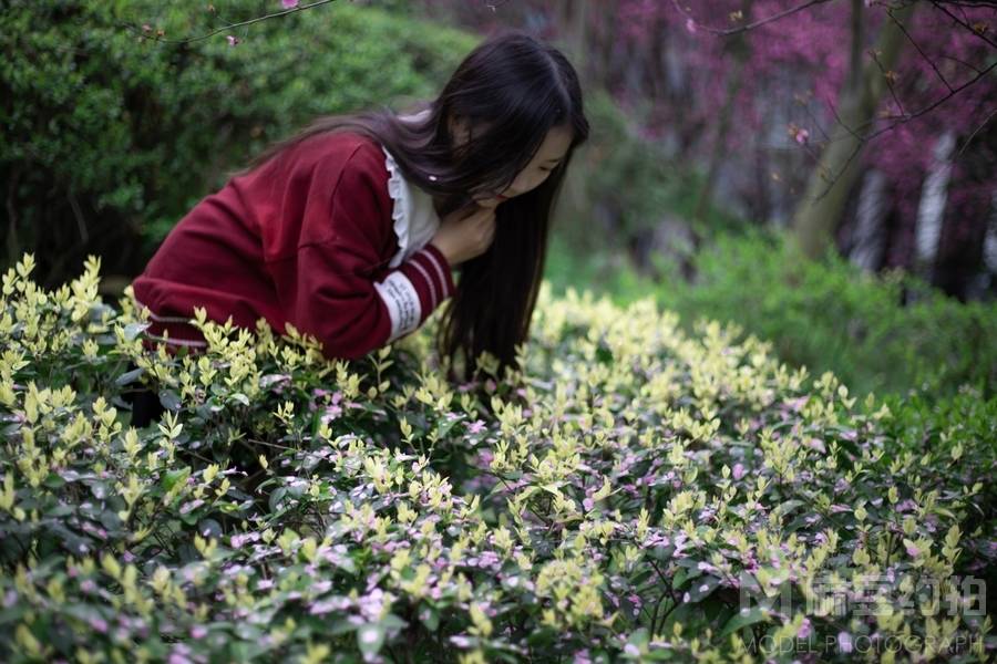 清新模特