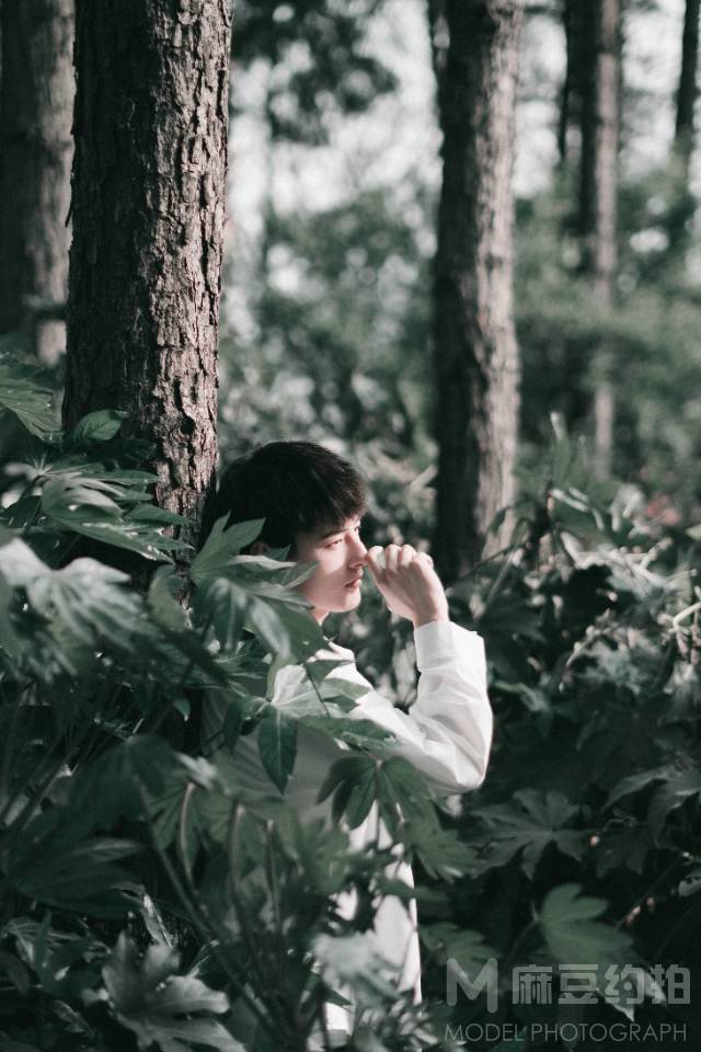 情绪模特