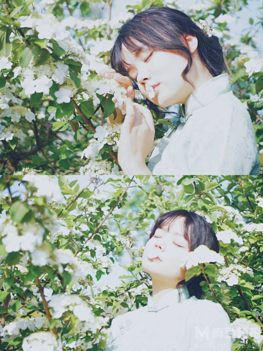清新模特